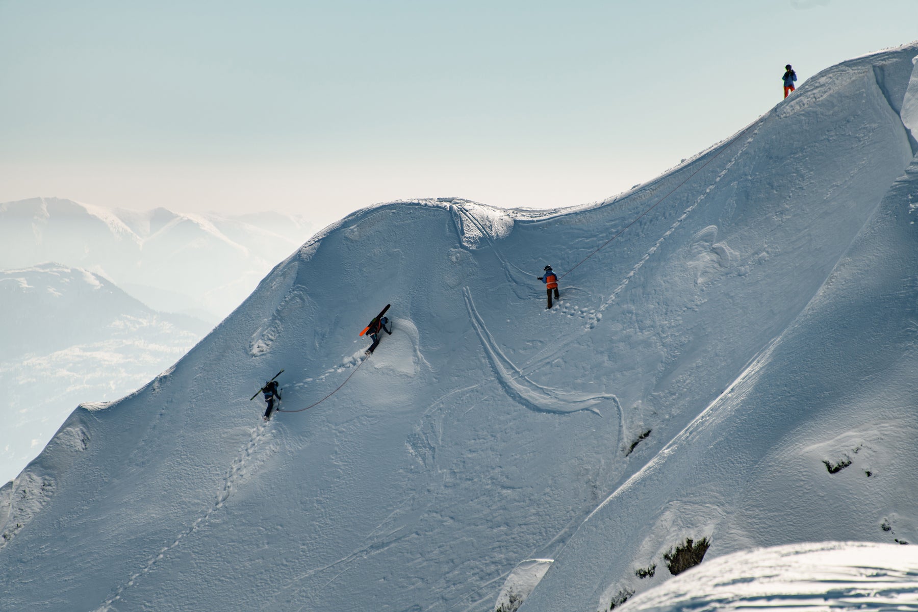 Alpine – Shinzo Tamura