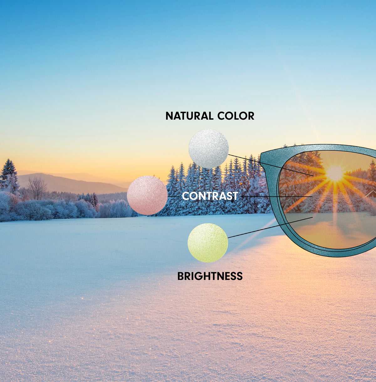 Alpine – Shinzo Tamura