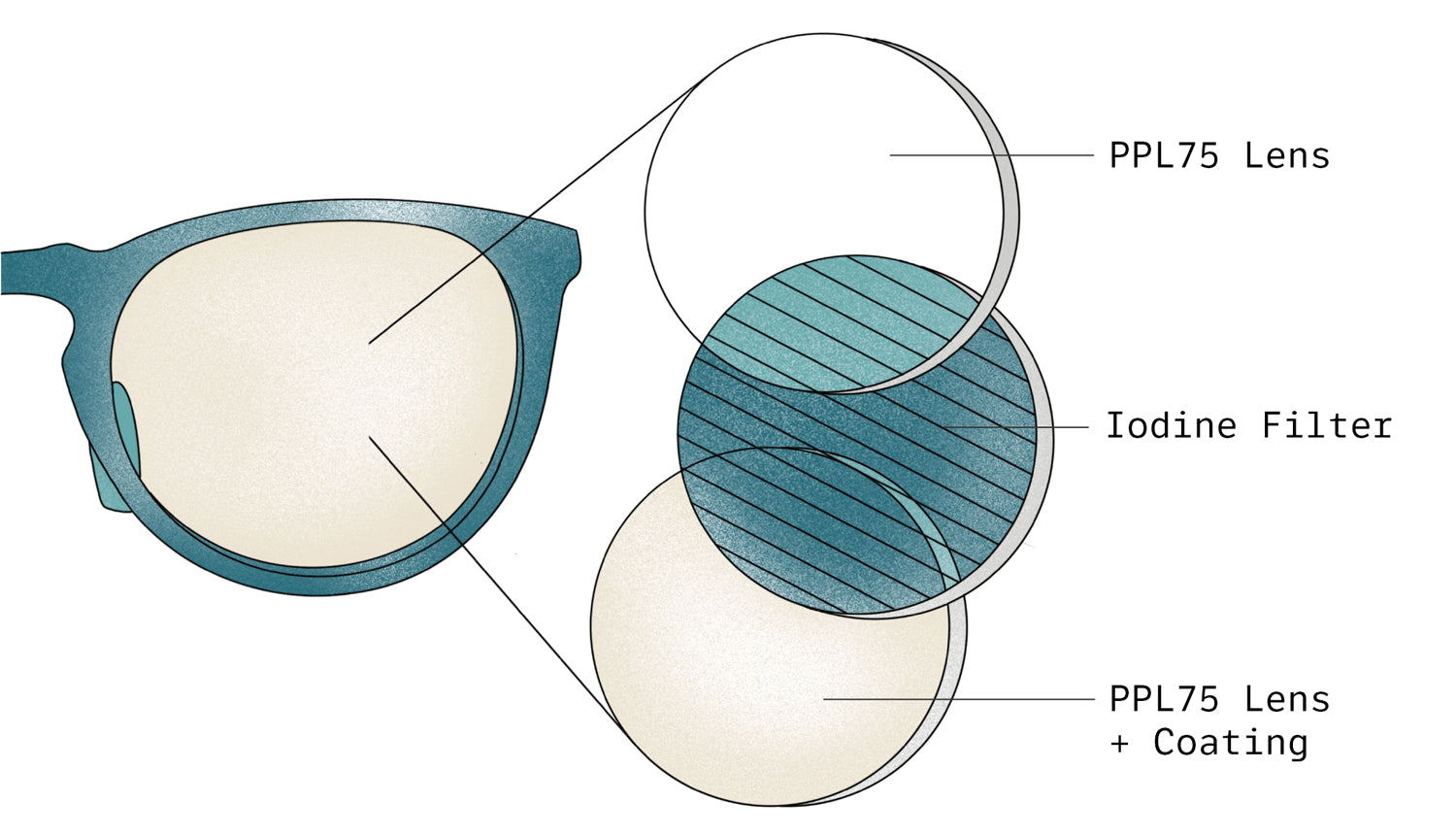 Lenses – Shinzo Tamura